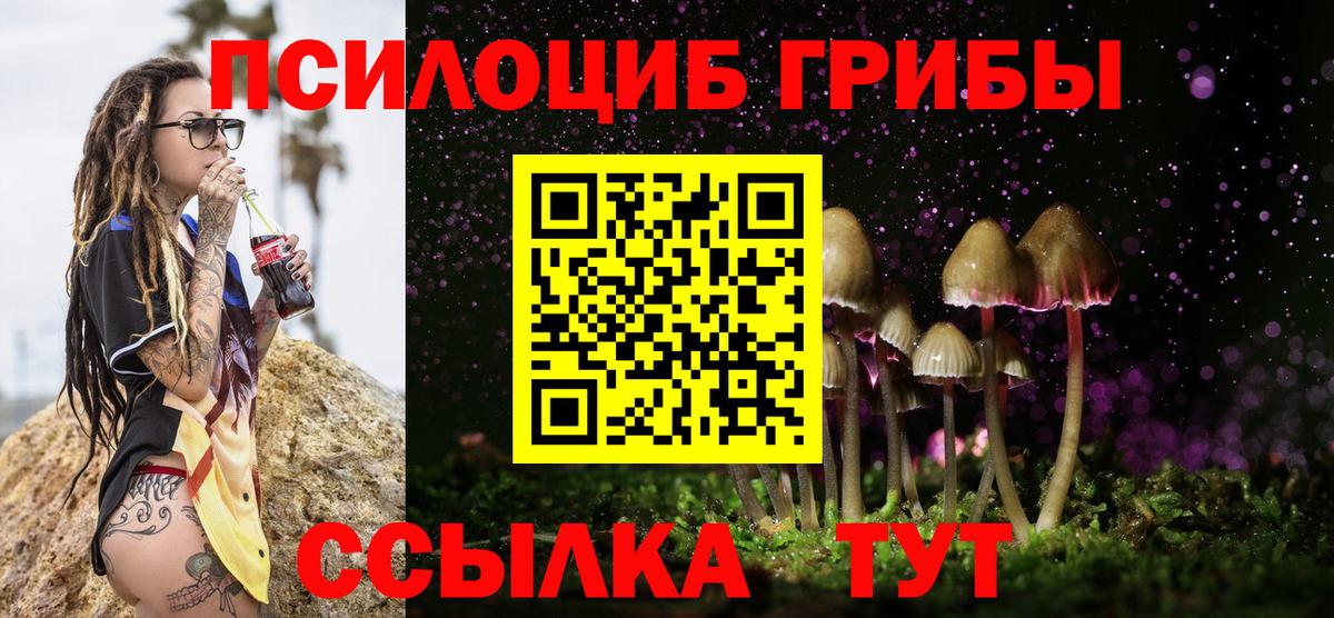 Псилоцибиновые грибы GOLDEN TEACHER Каменка