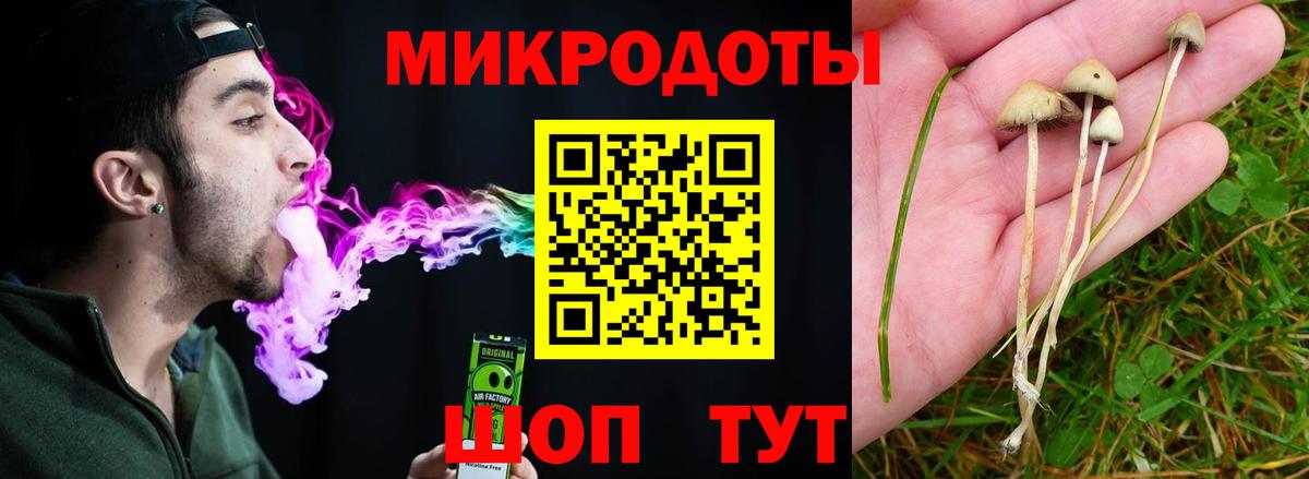 Галлюциногенные грибы Magic Shrooms  Вход с VPN  Каменка 